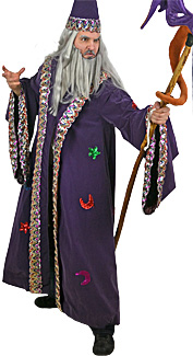 Wizard Rental Costume