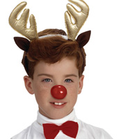 Reindeer Accessory Kit