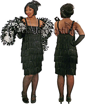 1920's Flapper Costume