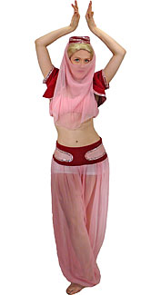 Belly Dancer Costume